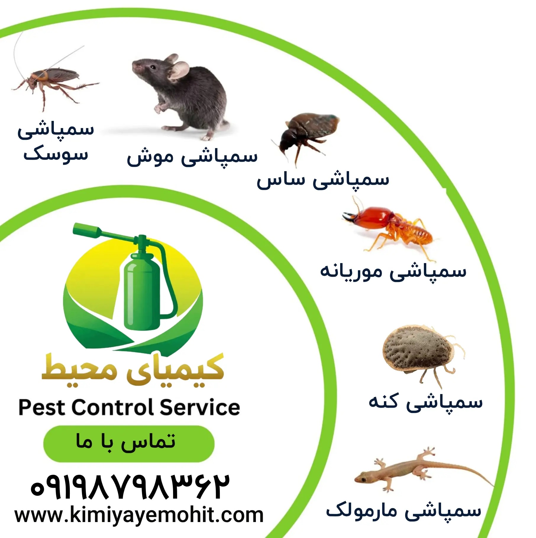 سم پاشی تضمینی ساس و سوسک